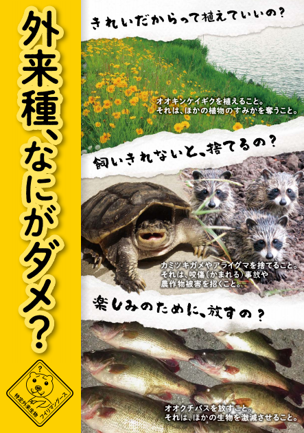 エゴで生まれた特定外来生物 Run Boys Run Girls ランボーイズ ランガールズ 東京都 東神田 トレランショップ